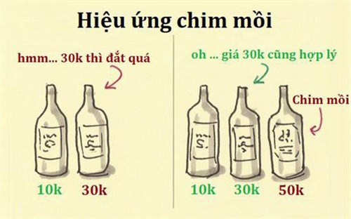 Hiệu ứng chim mồi: Tâm lý “Ngu sao không mua” hay là Cái bẫy tiêu tiền nguy hiểm nhất thế kỷ